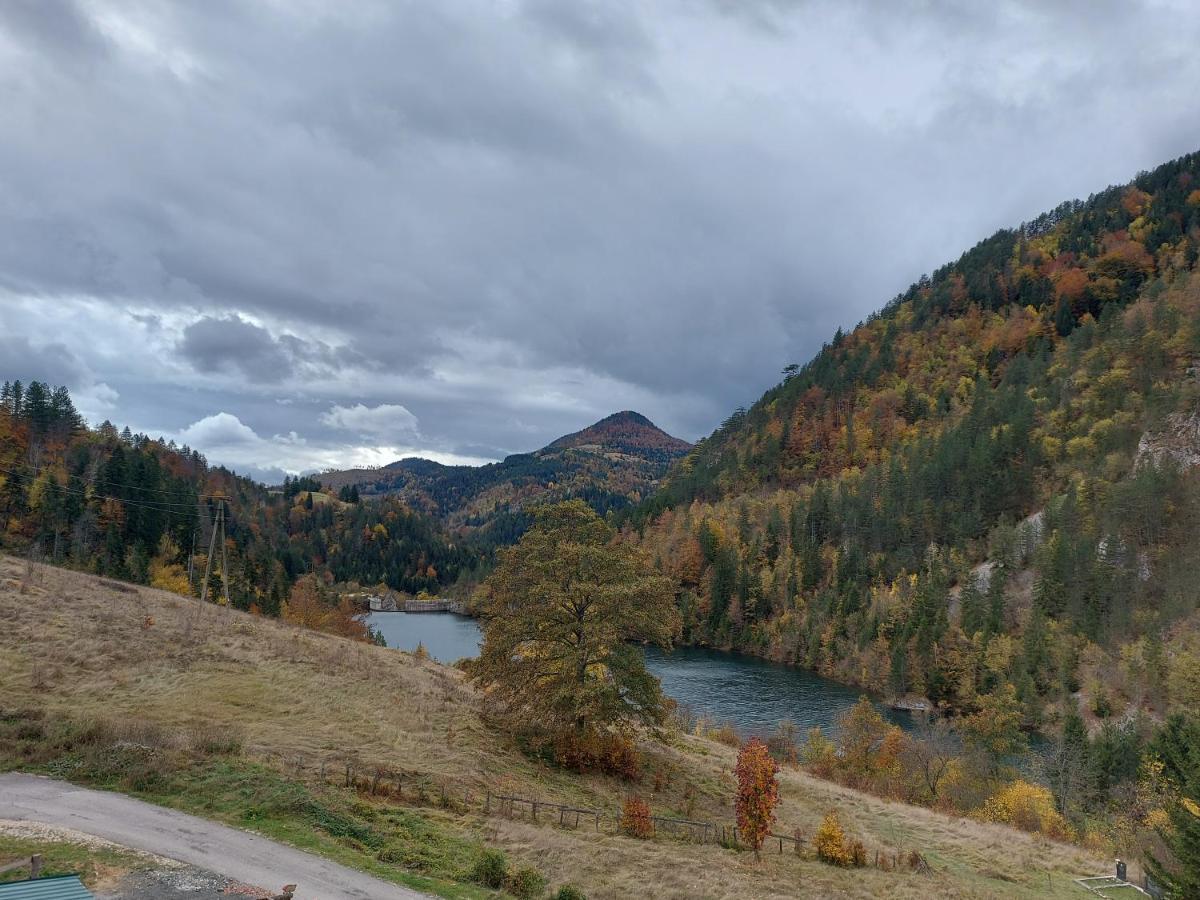 Вилла Tarska Carolija Zaovine Popovici Экстерьер фото